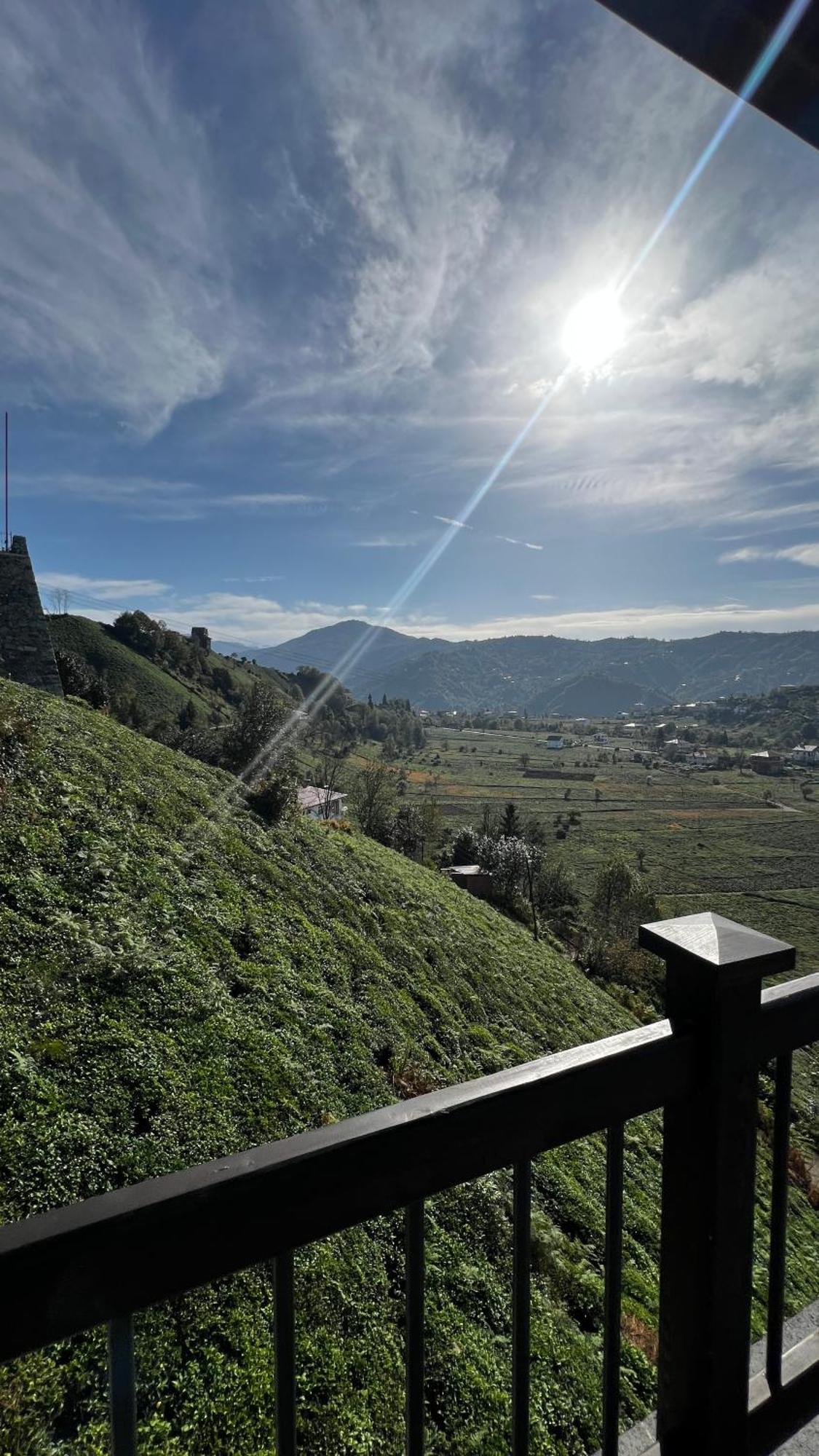 Meona Villa Bungalov Ardeşen Exterior foto